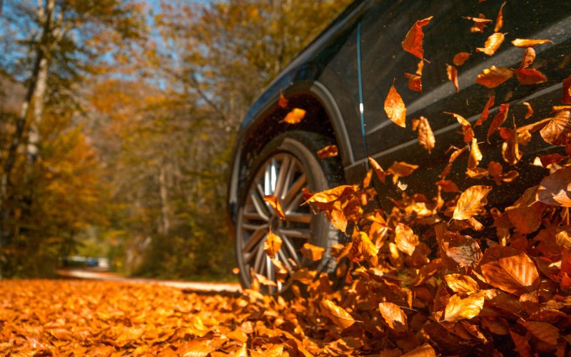A car driving on the road during the day. Fallen orange leaves are kicked into the air as the car drives over them.