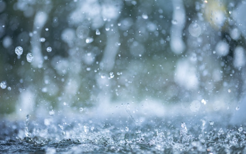 Many massive raindrops landing on a large puddle in the middle of the street on a gray, stormy evening.