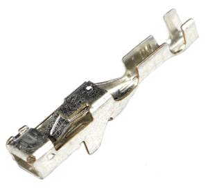 Connector Experts - Normal Order - TERM1C1