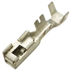 Connector Experts - Normal Order - TERM2