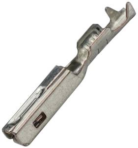 Connector Experts - Normal Order - C-TERM42Y1