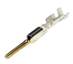 Connector Experts - Normal Order - TERM31C