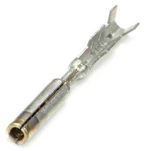 Connector Experts - Normal Order - TERM223