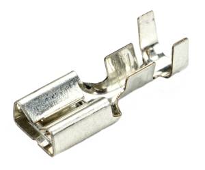 Connector Experts - Normal Order - TERM331A