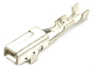 Connector Experts - Normal Order - TERM388
