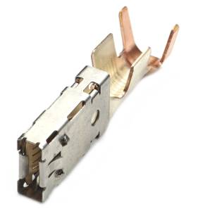 Connector Experts - Normal Order - TERM438
