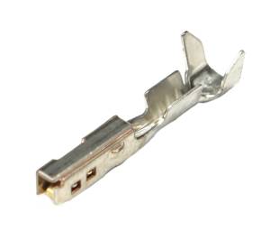 Connector Experts - Normal Order - TERM491