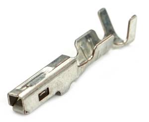 Connector Experts - Normal Order - TERM32C