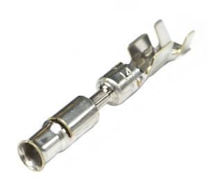 Connector Experts - Normal Order - TERM217