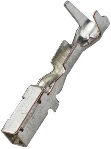 Connector Experts - Normal Order - E-TERM593