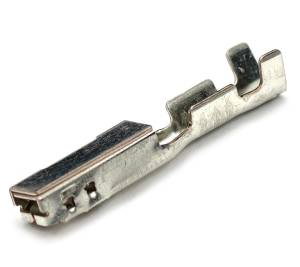 Connector Experts - Normal Order - TERM558B