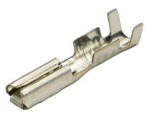 Connector Experts - Normal Order - TERM185C