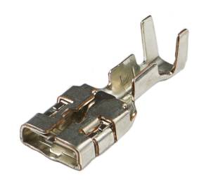 Connector Experts - Normal Order - TERM195B
