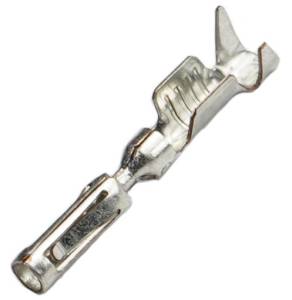 Connector Experts - Normal Order - TERM216B