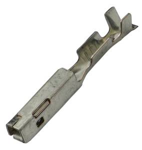 Connector Experts - Normal Order - TERM1147