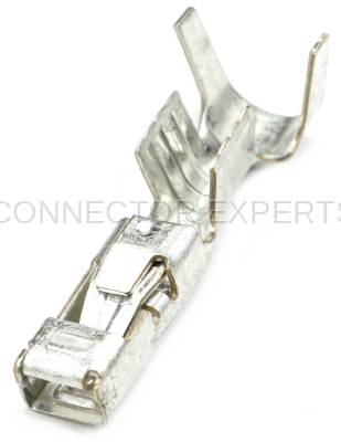 Connector Experts - Normal Order - TERM1F