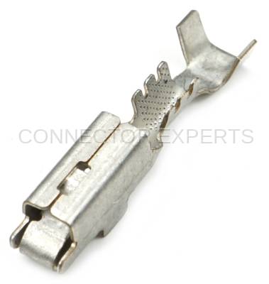 Connector Experts - Normal Order - TERM4J