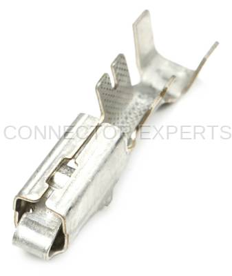 Connector Experts - Normal Order - TERM8D