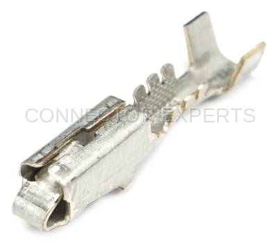 Connector Experts - Normal Order - TERM8F