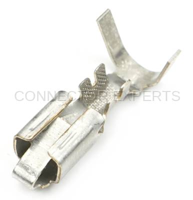 Connector Experts - Normal Order - TERM16D