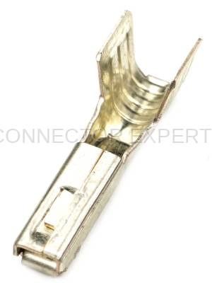 Connector Experts - Normal Order - TERM36