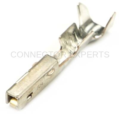 Connector Experts - Normal Order - TERM75