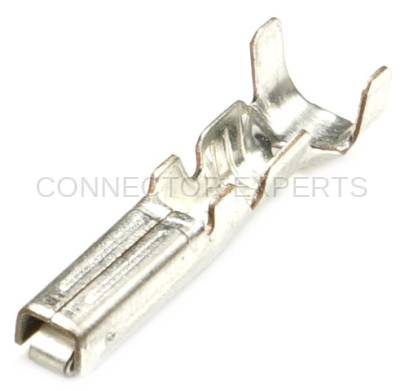Connector Experts - Normal Order - TERM84A
