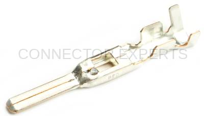 Connector Experts - Normal Order - TERM123B