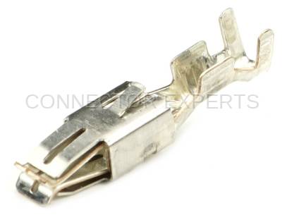 Connector Experts - Normal Order - TERM166B