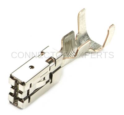 Connector Experts - Normal Order - TERM170A