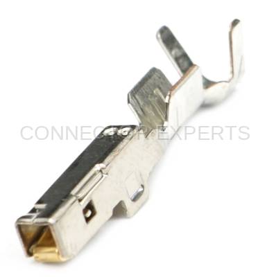 Connector Experts - Normal Order - TERM194B