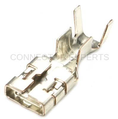 Connector Experts - Normal Order - TERM195