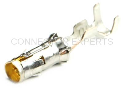 Connector Experts - Normal Order - TERM204