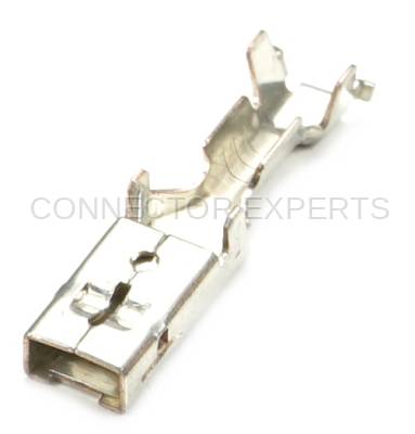 Connector Experts - Normal Order - TERM356
