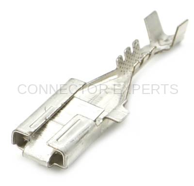 Connector Experts - Normal Order - TERM237