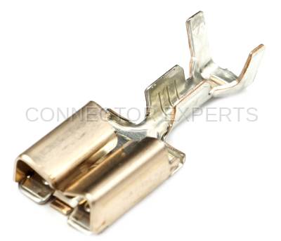 Connector Experts - Normal Order - TERM335