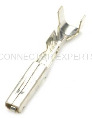 Connector Experts - Normal Order - TERM344