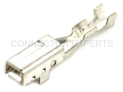 Connector Experts - Normal Order - TERM388