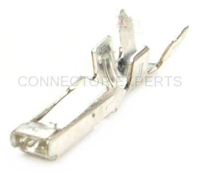 Connector Experts - Normal Order - TERM410