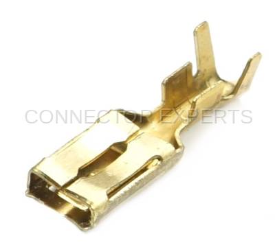 Connector Experts - Normal Order - TERM427