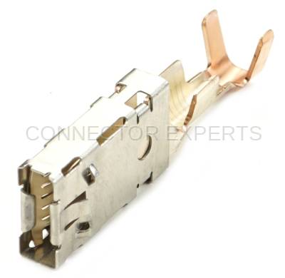 Connector Experts - Normal Order - TERM437