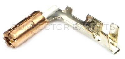Connector Experts - Normal Order - TERM439B