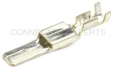 Connector Experts - Normal Order - TERM493