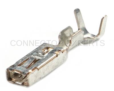 Connector Experts - Normal Order - TERM183