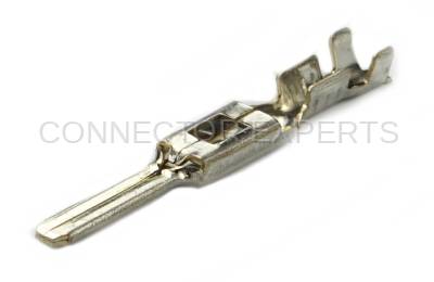 Connector Experts - Normal Order - TERM123A