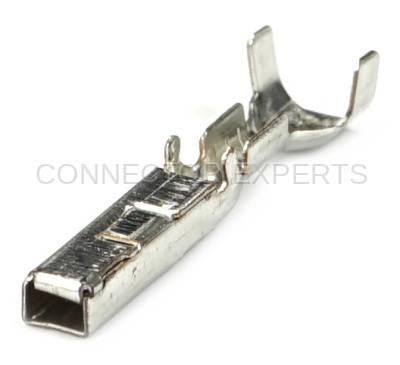 Connector Experts - Normal Order - TERM524