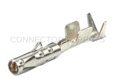 Connector Experts - Normal Order - TERM203C