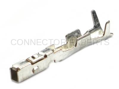 Connector Experts - Normal Order - TERM531