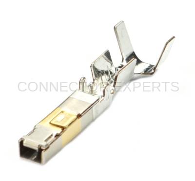 Connector Experts - Normal Order - TERM524B