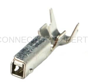 Connector Experts - Normal Order - TERM460